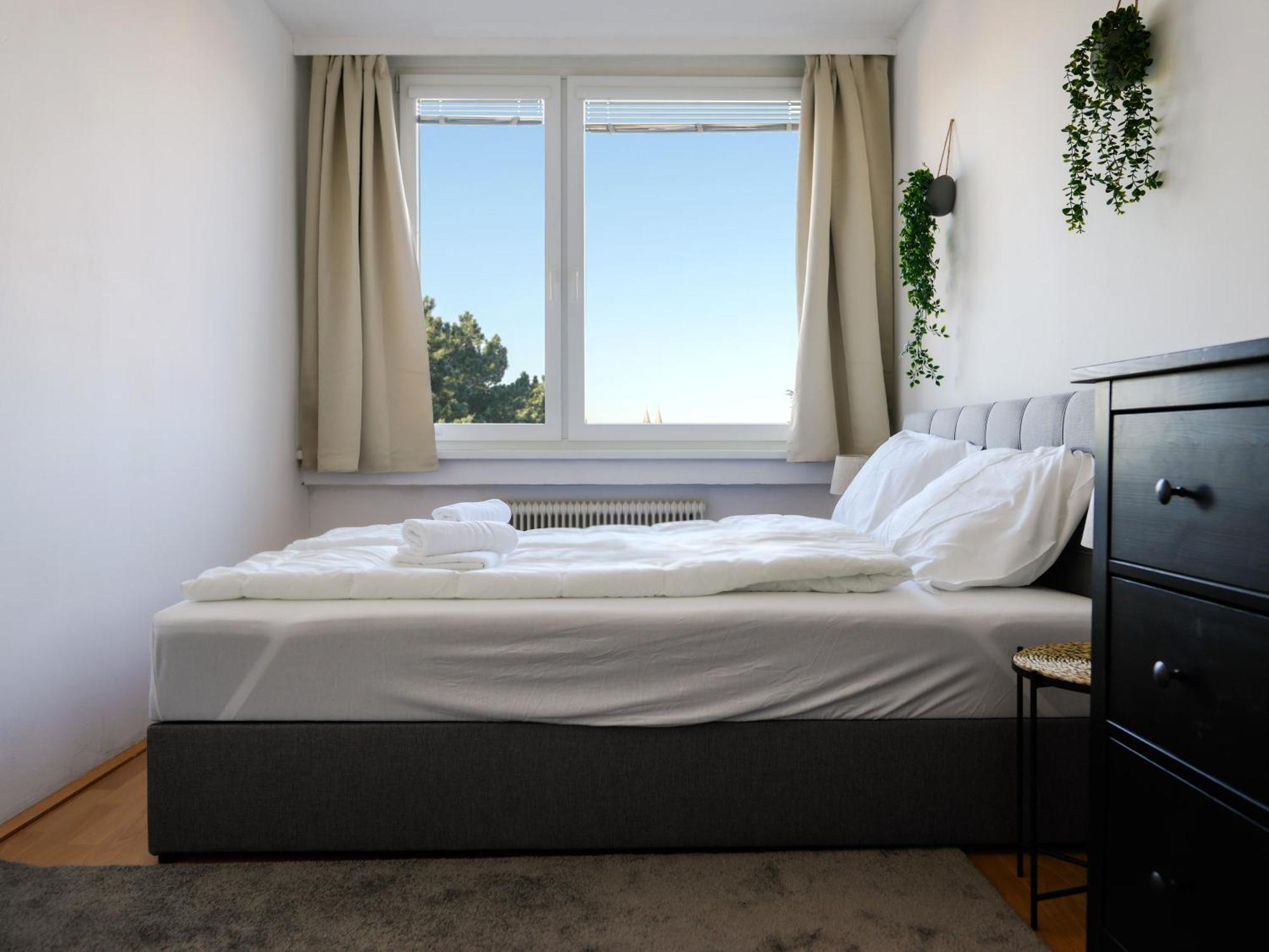 Spacious Apartments With View & Free Parking Wiener Neustadt Exterior foto